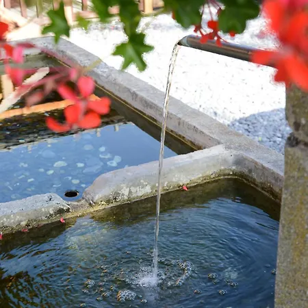 Appt Le Meleze - Piscine Et Apartment